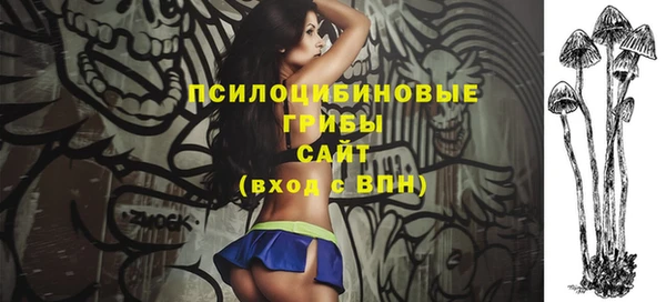 таблы Козловка