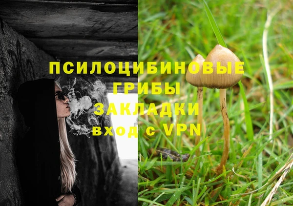 ГАЛЛЮЦИНОГЕННЫЕ ГРИБЫ Козельск