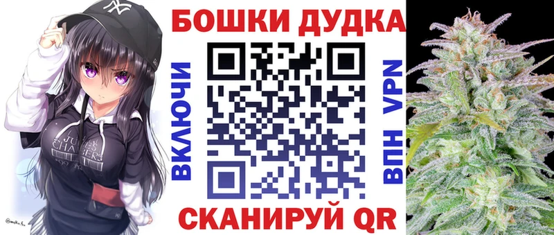 Купить где  Асино  Бошки марихуана планчик 
